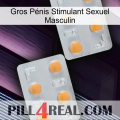 Gros Pénis Stimulant Sexuel Masculin 25